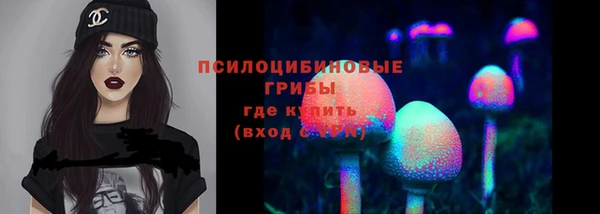 мдпв Балабаново