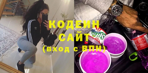 хмурый Арсеньев