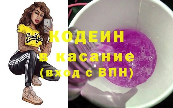 хмурый Арсеньев