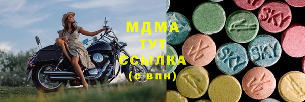 хмурый Арсеньев