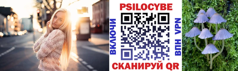 сколько стоит  Волхов  Галлюциногенные грибы Psilocybe 