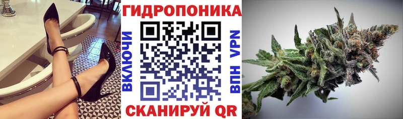 Конопля MAZAR  гидра зеркало  Волхов  купить закладку 